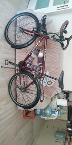 WhatsApp Image 2020-12-16 at 09.17.10 (2).jpeg