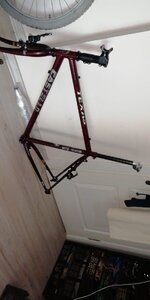 WhatsApp Image 2020-12-16 at 09.17.10 (3).jpeg