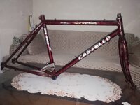 WhatsApp Image 2020-12-06 at 14.14.53.jpeg