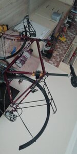 WhatsApp Image 2020-12-16 at 09.17.09.jpeg