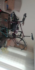 WhatsApp Image 2020-12-16 at 09.17.09 (2).jpeg