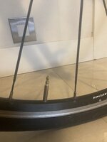 4954845A-8D6A-46E4-9F96-7EF74312B087.jpeg 4954845A-8D6A-46E4-9F96-7EF74312B087.jpeg