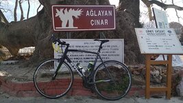 WhatsApp Image 2020-12-31 at 17.53.16.jpeg