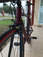 WhatsApp Image 2021-01-03 at 21.59.27.jpeg