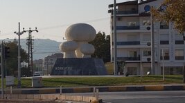 20201115_162243.jpg