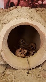 20201116_153802.jpg