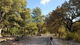 20201117_140416.jpg