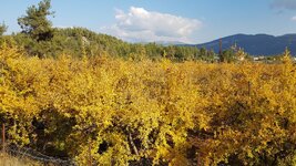 20201117_145908.jpg