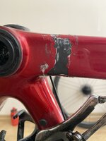 IMG_2133.JPEG IMG_2133.JPEG