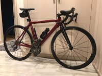 WhatsApp Image 2021-01-16 at 20.44.28.jpeg