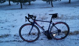 IMG_20210118_081207.jpg IMG_20210118_081207.jpg