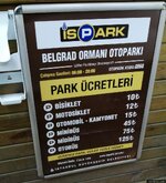 wowturkey muratgezgin61