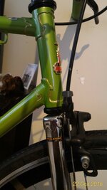 P_20160122_084612_1_p.jpg