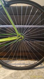P_20160213_100426_1_p.jpg