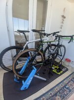 MVIMG_20210202_145407.jpg MVIMG_20210202_145407.jpg