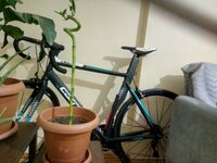 IMG_20210207_210434.jpg IMG_20210207_210434.jpg