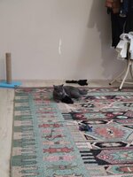 WhatsApp Image 2021-02-19 at 17.48.42(1).jpeg