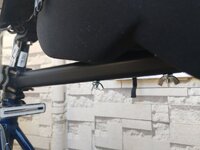 IMG_20210223_151019.jpg IMG_20210223_151019.jpg