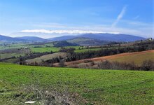 WhatsApp Image 2021-03-13 at 15.00.54.jpeg