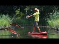 hqdefault.jpg hqdefault.jpg