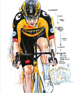 WOUT VAN AERT.png