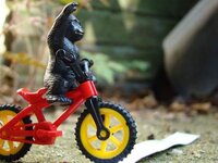 FB_IMG_1436129934108.jpg FB_IMG_1436129934108.jpg