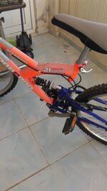IMAG0020.jpg