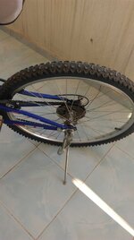 IMAG0021.jpg