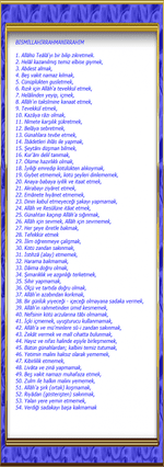 indir - Kopya (2).png