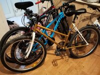 WhatsApp Image 2021-04-11 at 11.56.52.jpeg