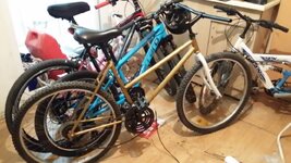 WhatsApp Image 2021-04-12 at 13.40.30.jpeg