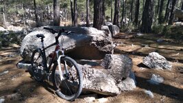 20210412_104350.jpg 20210412_104350.jpg