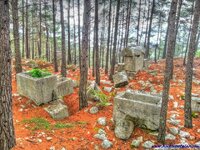 images.jpeg images.jpeg