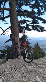 20210412_122409.jpg 20210412_122409.jpg