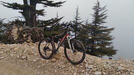 20210412_141319.jpg 20210412_141319.jpg