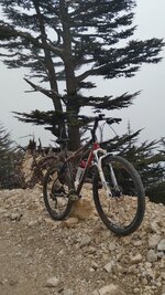 20210412_141313.jpg 20210412_141313.jpg