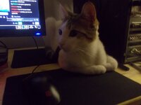 DSCN4802 - Kopya.JPG