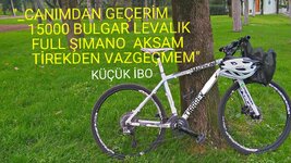 aviary-image-1517730767988.jpg aviary-image-1517730767988.jpg