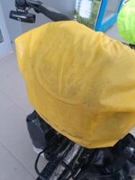 20210408_094121.jpg
