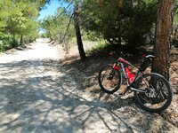 IMG_20210510_143504.jpg