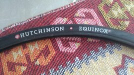 IMG_20210513_145638~2.jpg IMG_20210513_145638~2.jpg