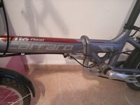 WhatsApp Image 2021-05-19 at 10.24.27.jpeg