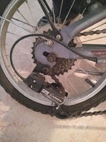 WhatsApp Image 2021-05-19 at 10.24.26.jpeg