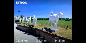 Screenshot_20210519-205651.png Screenshot_20210519-205651.png