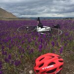 01C00E85-92B0-4884-AB1C-881CBAC95FD3.jpeg 01C00E85-92B0-4884-AB1C-881CBAC95FD3.jpeg