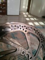 IMG_20210527_073916.jpg