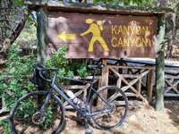 WhatsApp Image 2021-05-27 at 14.19.13.jpeg