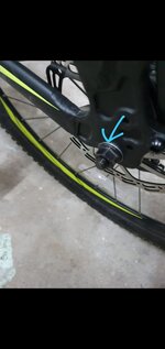 b204fa1a-c062-469e-892a-97ef182f3e17.jpg b204fa1a-c062-469e-892a-97ef182f3e17.jpg