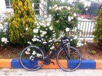 20210615_110717.jpg 20210615_110717.jpg