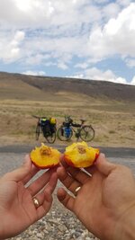 IMG-20210626-WA0007.jpeg IMG-20210626-WA0007.jpeg